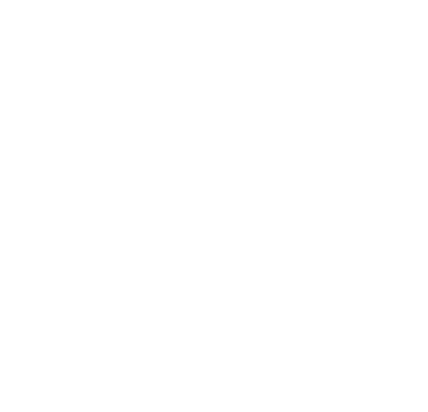 RAISON DIRECTION